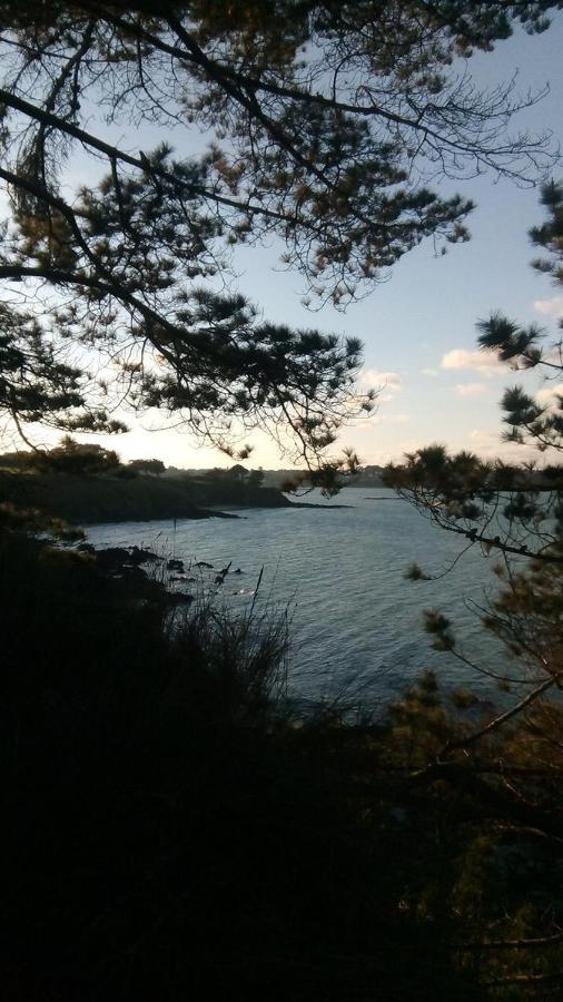 Tente 3 Chambres, Petit Camping Familial Vue Mer Plestin-les-Grèves المظهر الخارجي الصورة